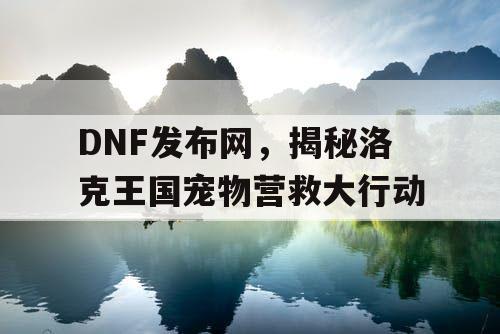 DNF发布网，揭秘洛克王国宠物营救大行动