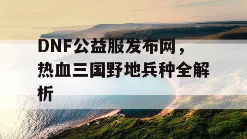 DNF公益服发布网，热血三国野地兵种全解析