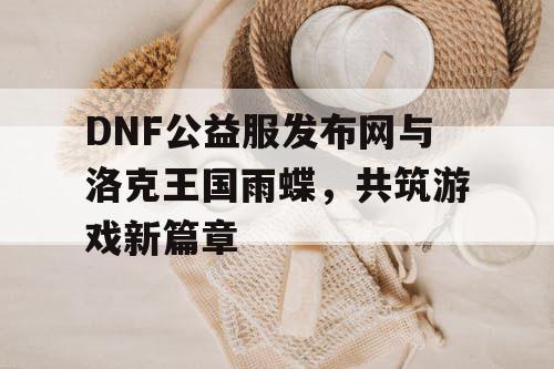 DNF公益服发布网与洛克王国雨蝶，共筑游戏新篇章