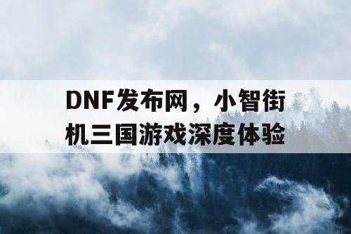 DNF发布网，小智街机三国游戏深度体验