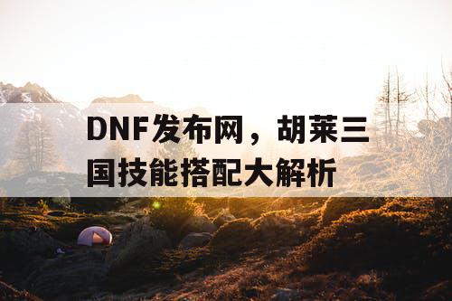 DNF发布网，胡莱三国技能搭配大解析