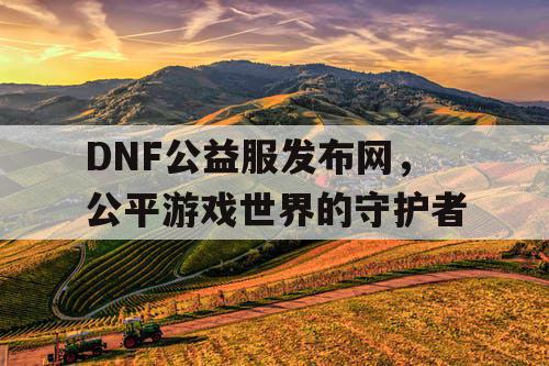 DNF公益服发布网，公平游戏世界的守护者