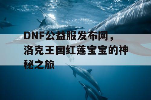 DNF公益服发布网，洛克王国红莲宝宝的神秘之旅