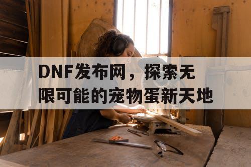 DNF发布网，探索无限可能的宠物蛋新天地