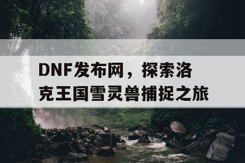 DNF发布网，探索洛克王国雪灵兽捕捉之旅